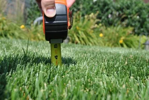 Expert residential landscaping experts serving White Stone, VA - Michaels Turf and Landscaping