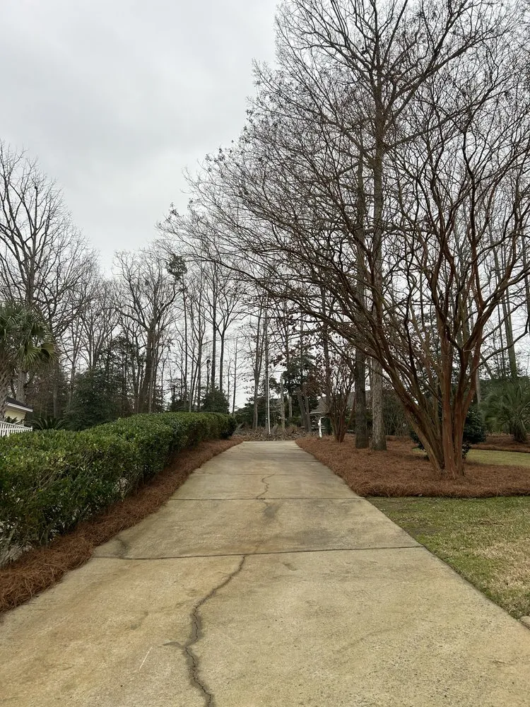 Custom yard cleanup service in Lugoff, SC - Michalski Landscape