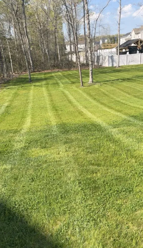 Custom landscaping services experts serving Williamstown, NJ - Michalski’s Lawn Care Services