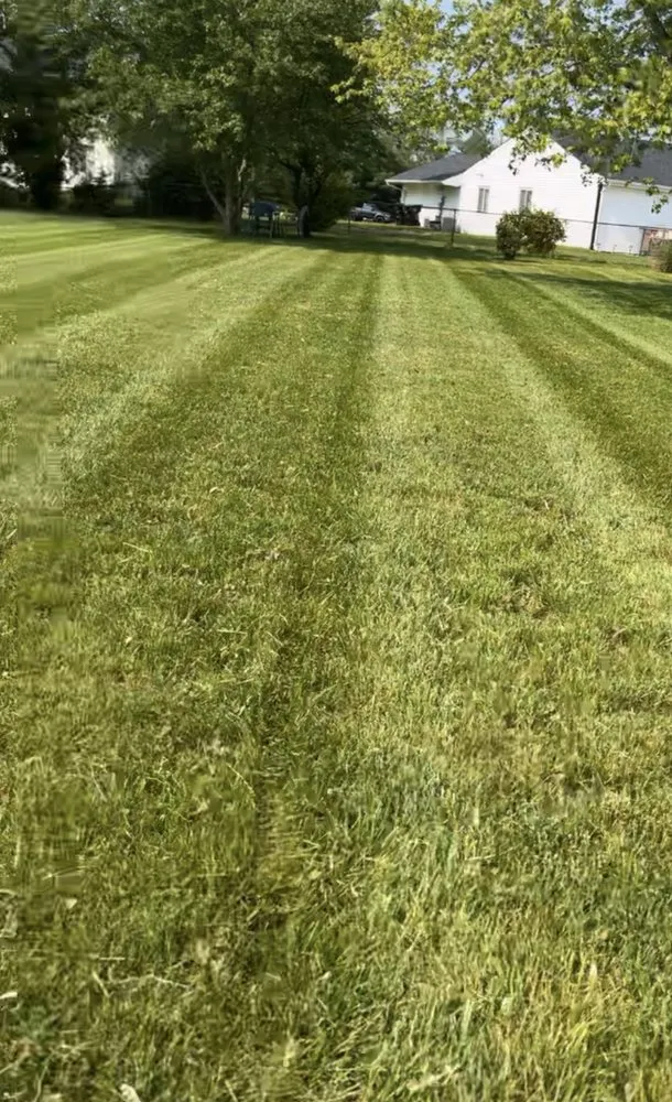 Custom landscape design with custom design across Williamstown, NJ - Michalski’s Lawn Care Services