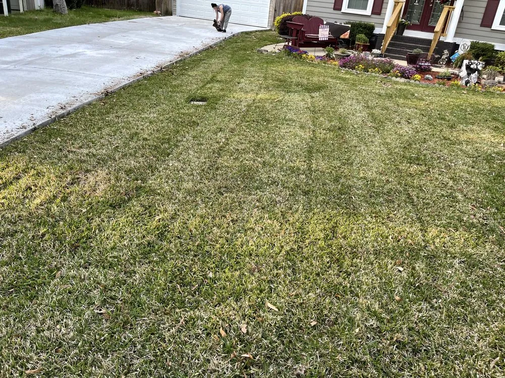 Trusted yard cleanup service for outdoor upgrades across Batesburg-Leesville, SC - Michaud Construction and Moving Services
