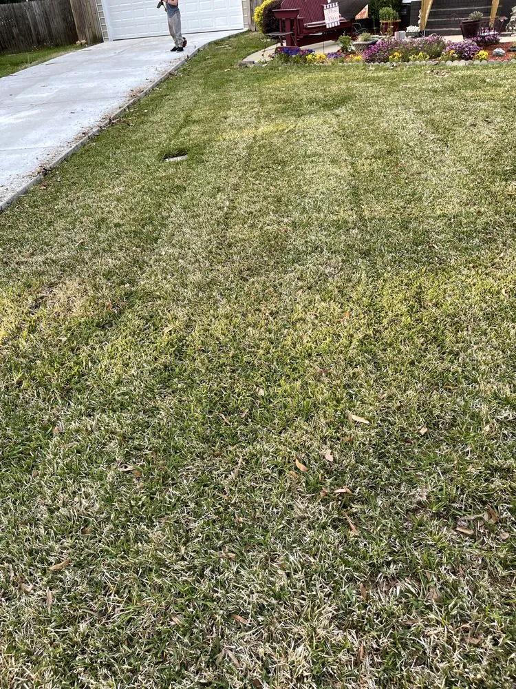 Local lawn mowing service in Batesburg-Leesville, SC - Michaud Construction and Moving Services
