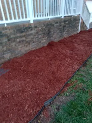 Michaux Landscaping & Lawn Care Services Logo