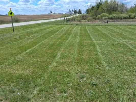 Micheals Lawn Maintenance