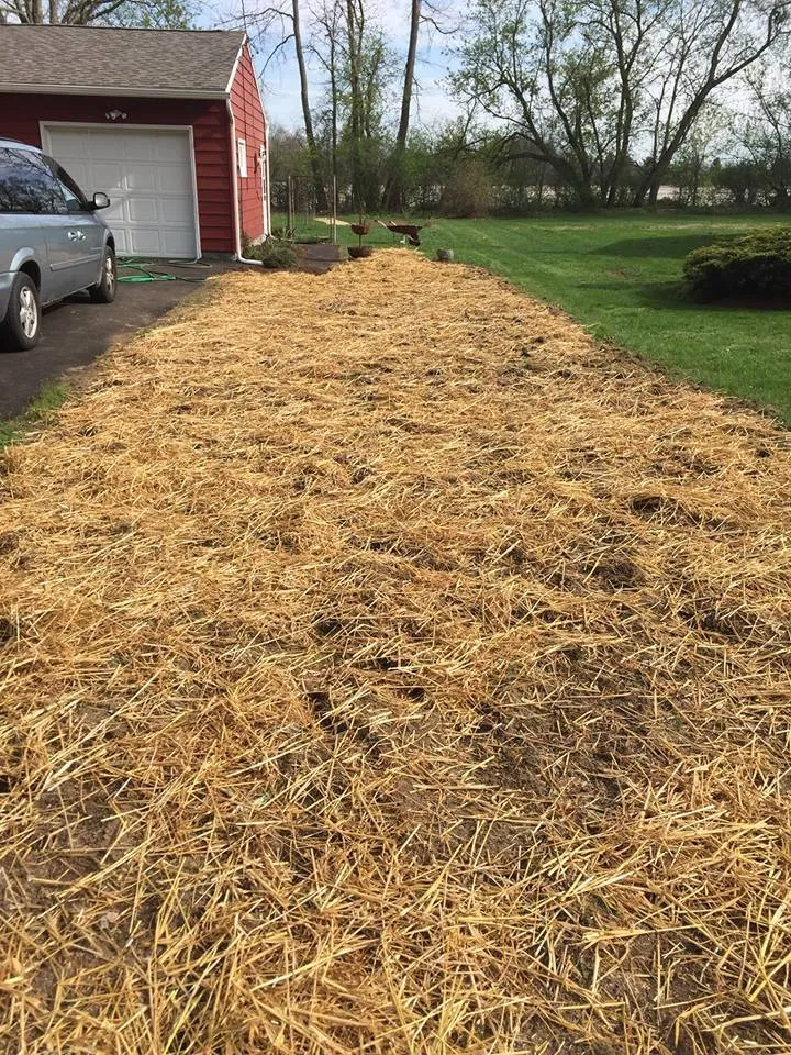 Top-rated garden landscaping for year-round maintenance in Liverpool, NY by Michel Landscaping