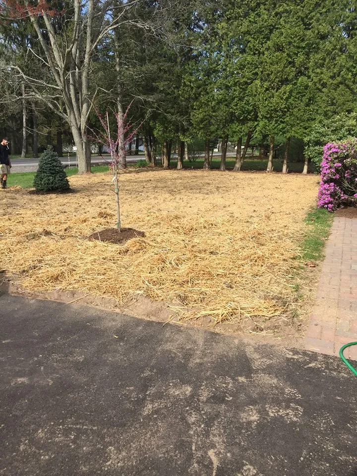 Professional yard cleanup service in Liverpool, NY by Michel Landscaping