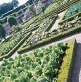 Reliable lawn mowing service in Pittsburgh, PA - Michel Landscaping