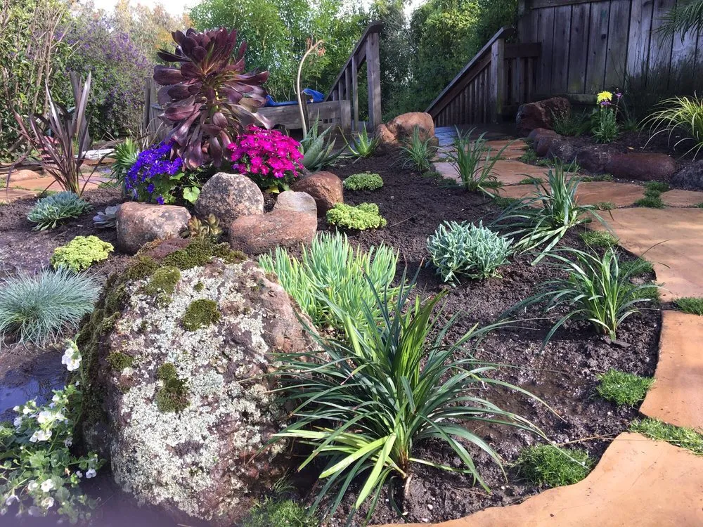 Expert outdoor landscaping experts serving San Carlos, CA - Michel Landscaping Services.