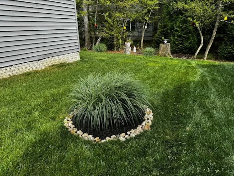 Trusted landscaping services in Dover, DE - Michele Green