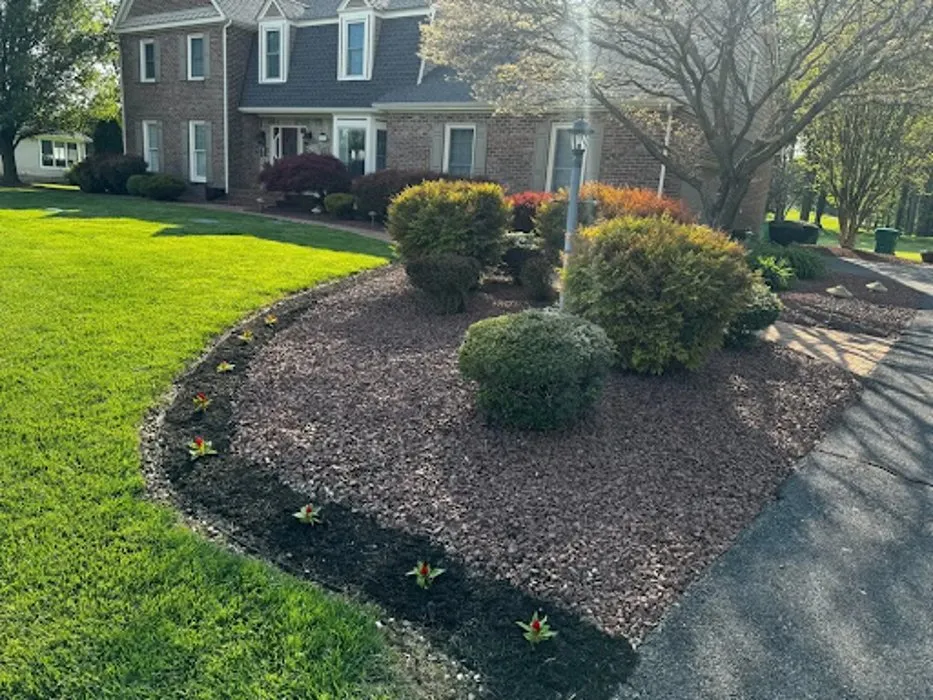 Reliable lawn care service experts serving Dover, DE - Michele Green