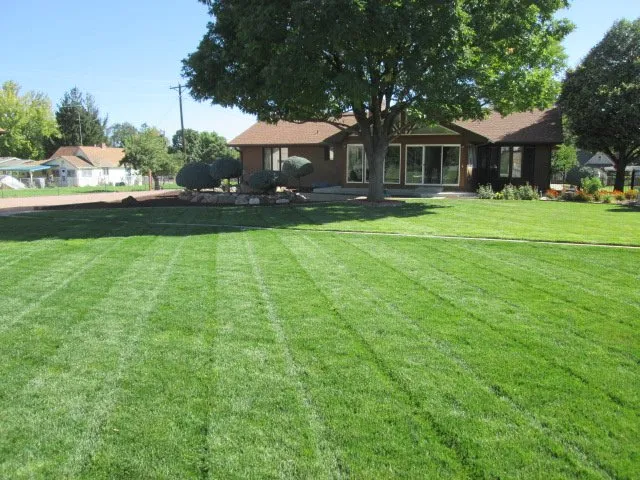 Professional residential landscaping for beautiful yards across Canon City, CO - Michele LaMarche Lawn Service