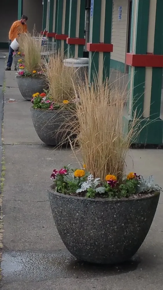 Local yard cleanup service experts serving Roslyn, WA - Michele's Landscape & Design