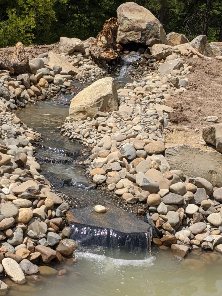 Top-rated yard cleanup service for outdoor upgrades in Roslyn, WA by Michele's Landscape & Design