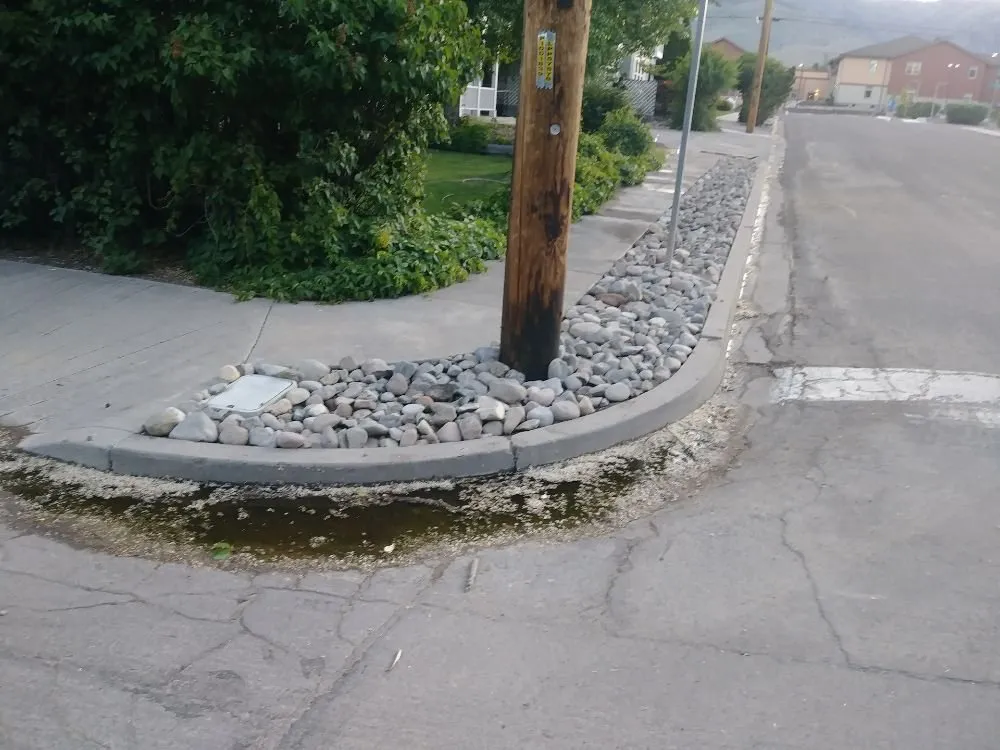 Local yard cleanup service in Carson City, NV by Michele's Landscaping Services