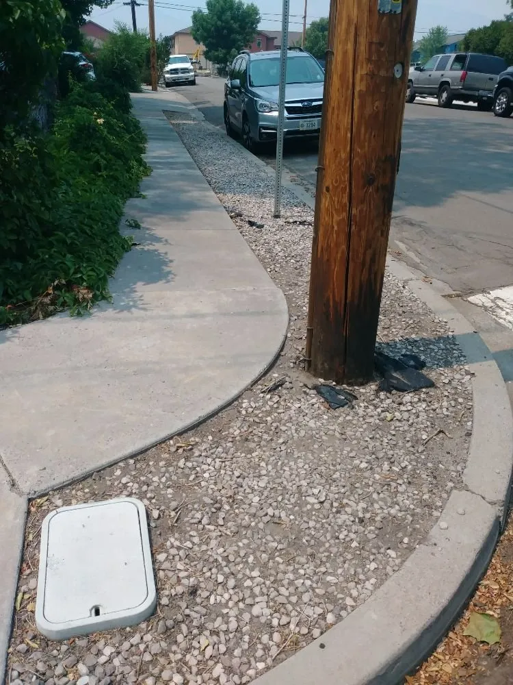 Top-rated landscape installation in Carson City, NV by Michele's Landscaping Services