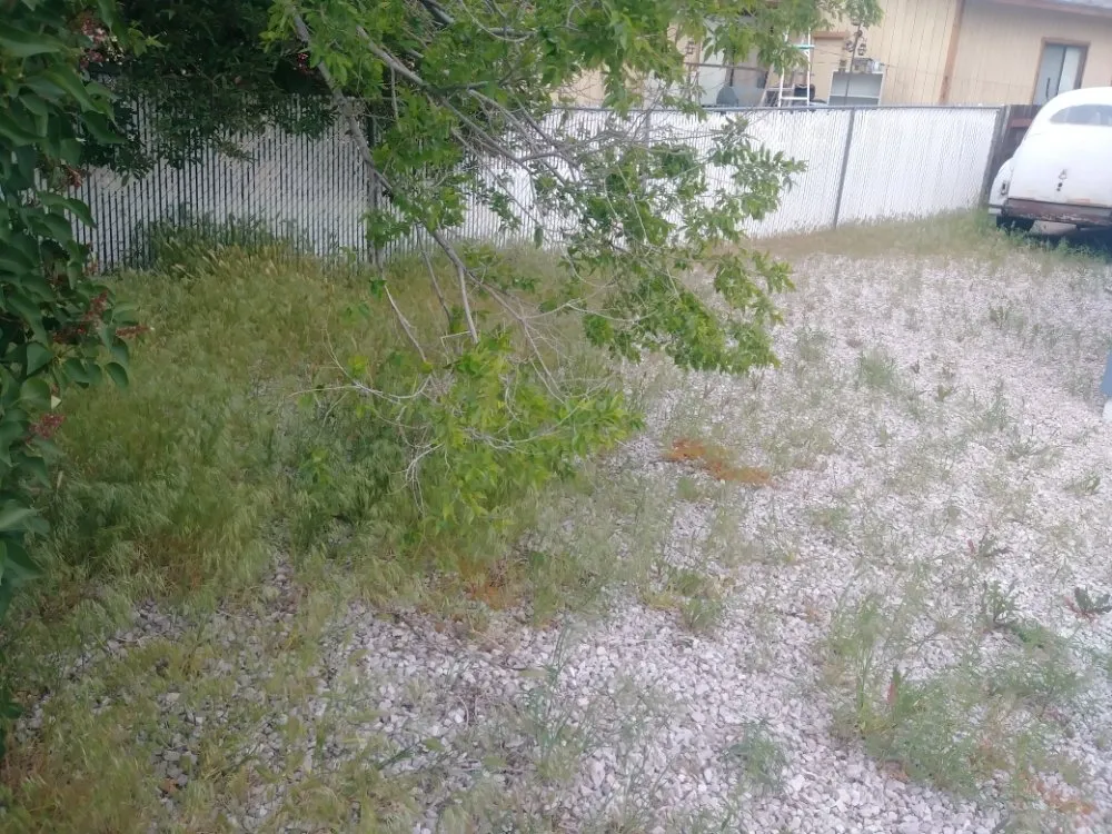 Reliable lawn care service in Carson City, NV - Michele's Landscaping Services