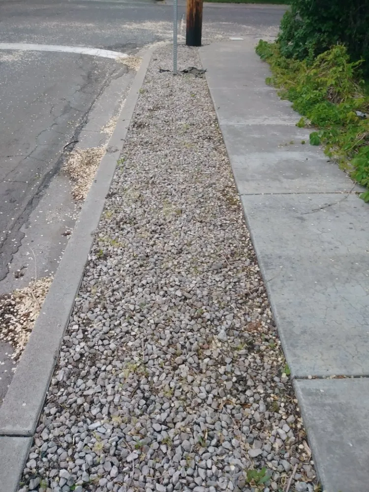 Trusted garden landscaping with custom design in Carson City, NV by Michele's Landscaping Services