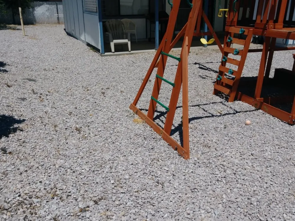 Trusted landscaping services in Carson City, NV by Michele's Landscaping Services