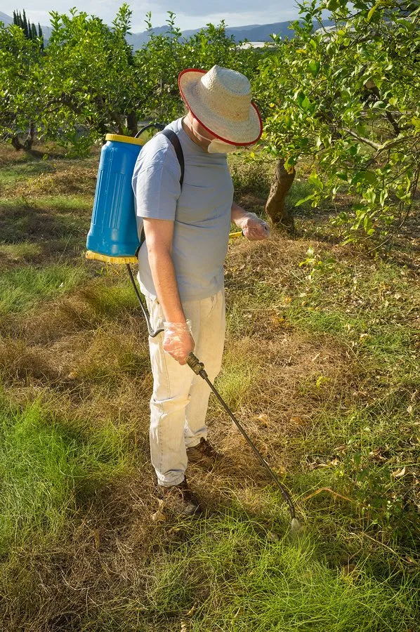 Trusted lawn mowing service for beautiful yards in Granger, IN by Michiana Commercial Landscaping