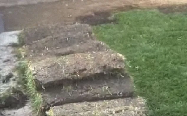 Expert yard maintenance for year-round maintenance across Granger, IN - Michiana Commercial Landscaping