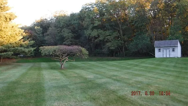 Expert yard cleanup service in Benton Harbor, MI by Michiana Lawn Care