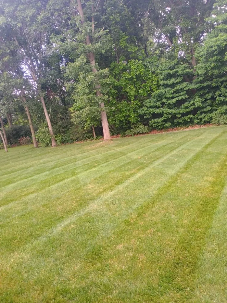 Trusted yard cleanup service for outdoor upgrades across Benton Harbor, MI - Michiana Lawn Care