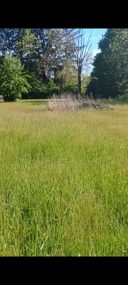 Local landscape design for beautiful yards in Benton Harbor, MI by Michiana Lawn Care