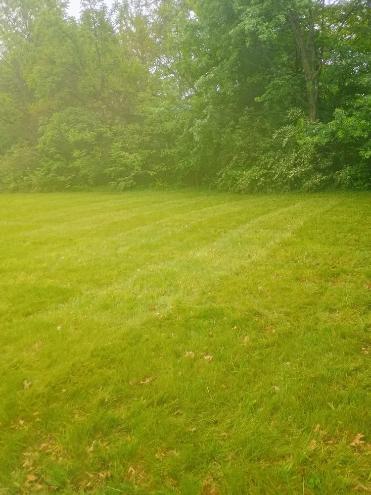 Professional lawn care service near you in Benton Harbor, MI by Michiana Lawn Care