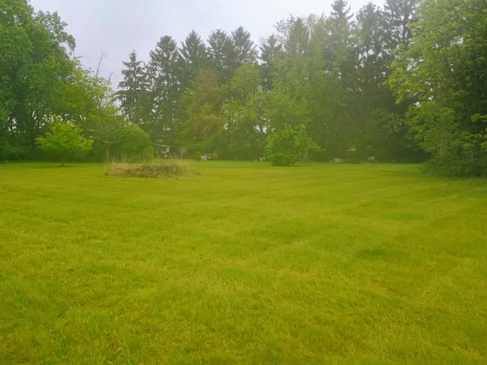 Expert lawn care service in Benton Harbor, MI - Michiana Lawn Care