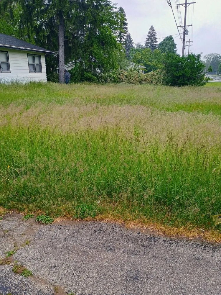 Top-rated landscaping services in Benton Harbor, MI - Michiana Lawn Care