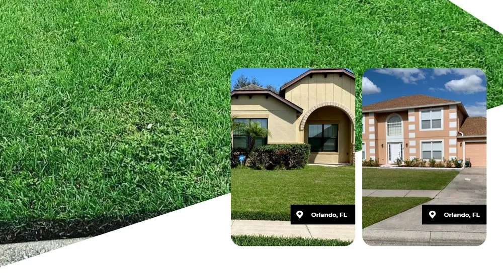 Professional lawn care service experts serving Alafaya, FL - Michiee Bee Lawn Care
