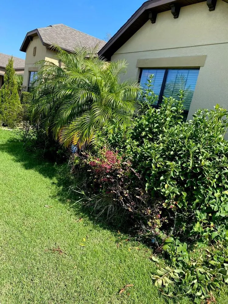 Affordable garden landscaping with custom design across Alafaya, FL - Michiee Bee Lawn Care