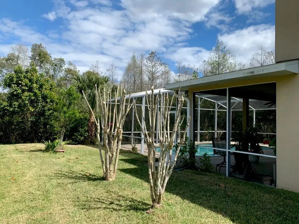 Affordable yard cleanup service experts serving Alafaya, FL - Michiee Bee Lawn Care