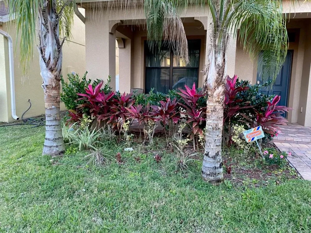 Expert yard maintenance with custom design across Alafaya, FL - Michiee Bee Lawn Care