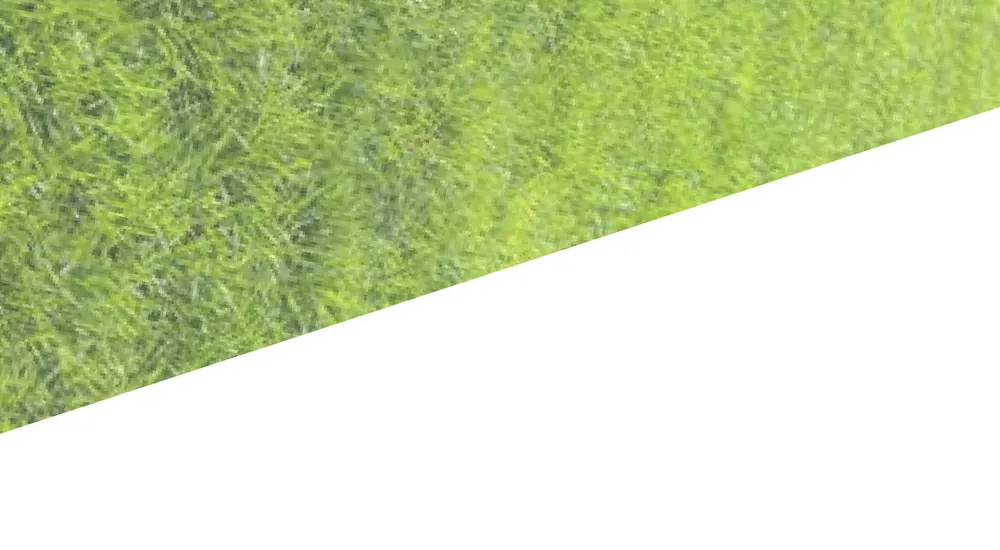 Professional residential landscaping for residential properties across Alafaya, FL - Michiee Bee Lawn Care