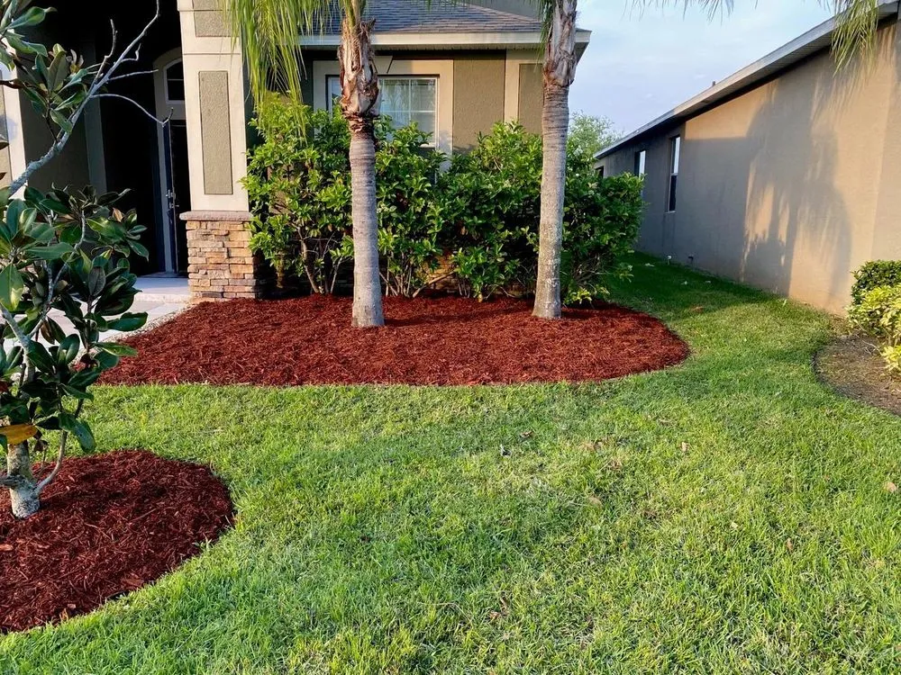 Affordable yard cleanup service in Alafaya, FL by Michiee Bee Lawn Care