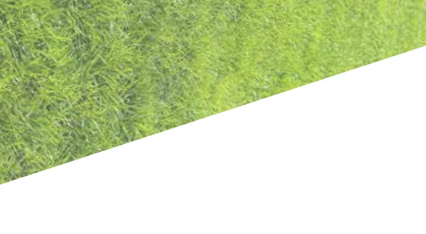 Michiee Bee Lawn Care