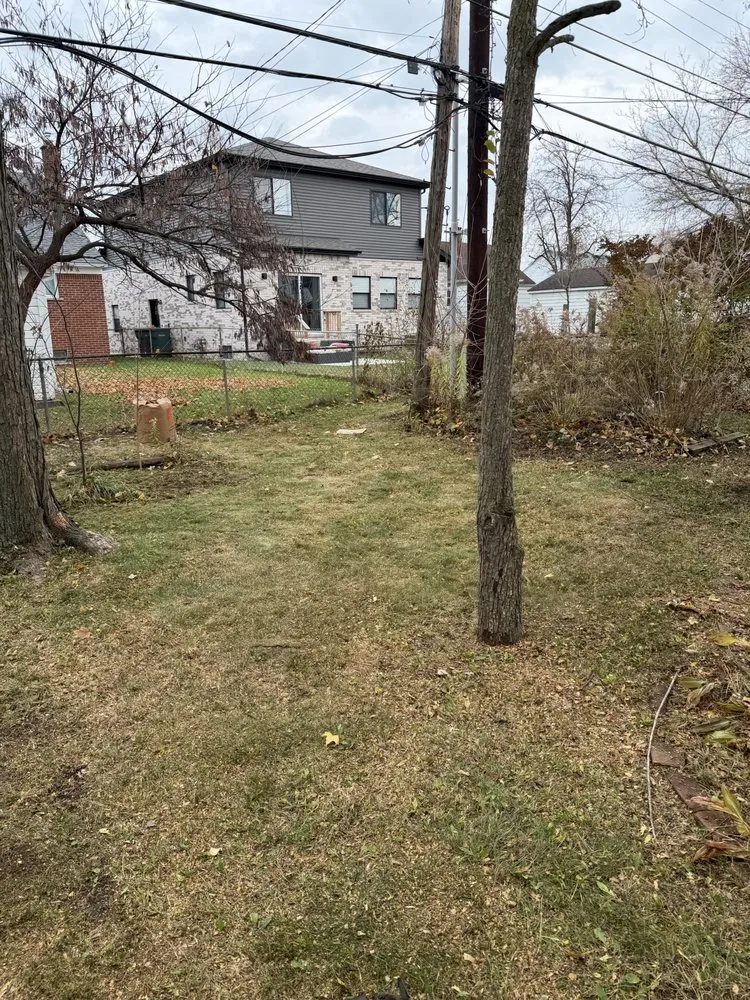 Professional landscape design in Canton, MI - Michigan Elite Landscaping