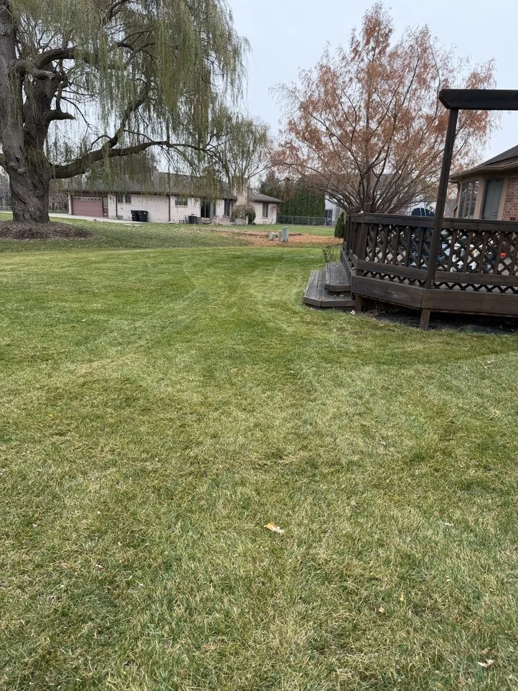 Reliable residential landscaping for beautiful yards in Canton, MI by Michigan Elite Landscaping