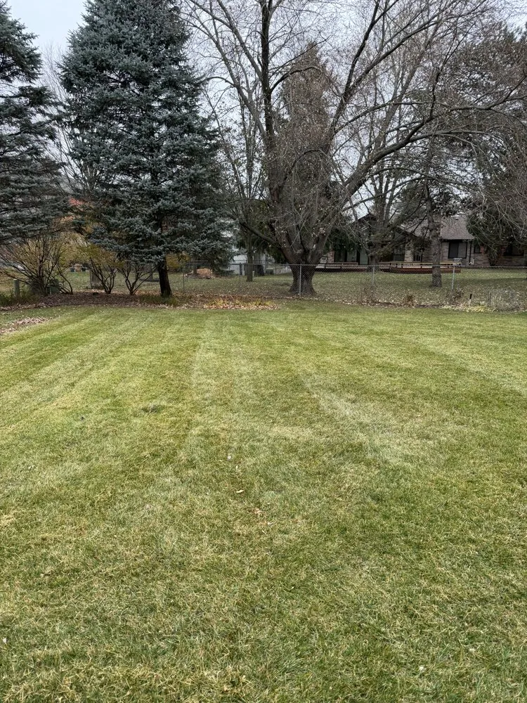 Reliable yard cleanup service in Canton, MI - Michigan Elite Landscaping