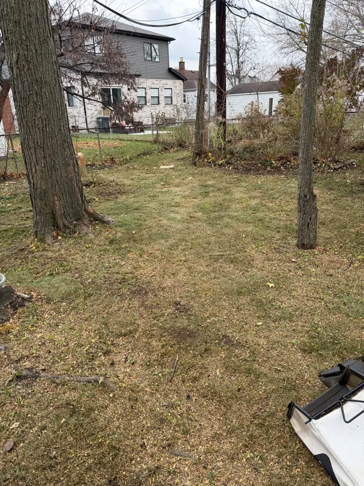 Local landscape installation for year-round maintenance across Canton, MI - Michigan Elite Landscaping