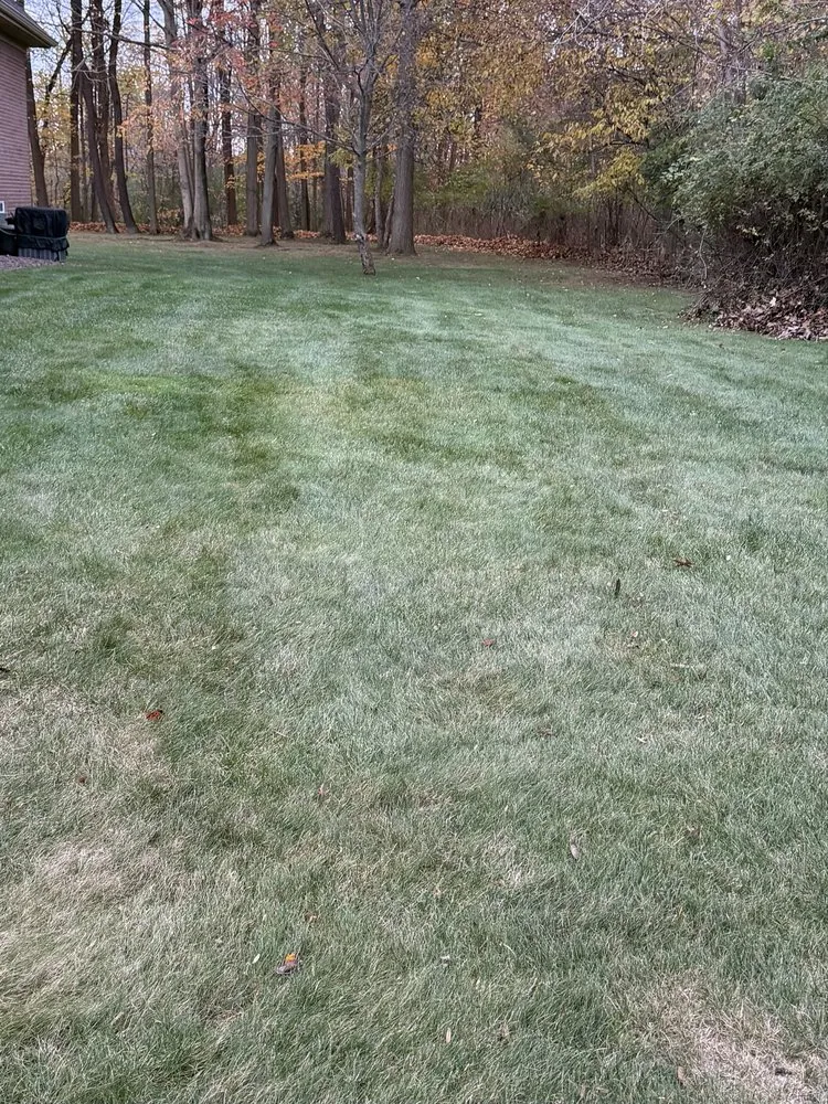 Top-rated lawn mowing service experts serving Canton, MI - Michigan Elite Landscaping