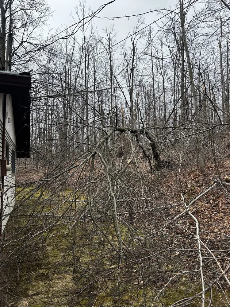 Reliable residential landscaping in Gaylord, MI by Michigan Estates Landscaping & Property Services