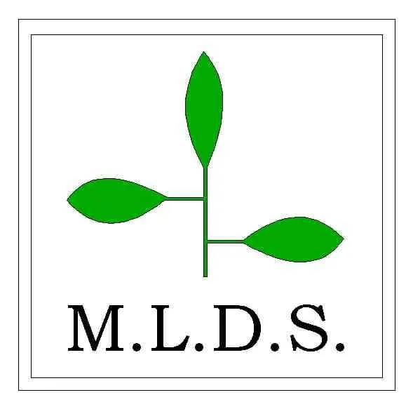 Expert landscaping services in Plymouth, MI - Michigan Landscape Design Services