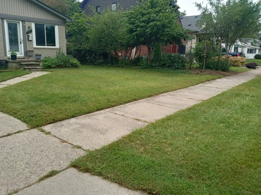 Professional residential landscaping experts serving Warren, MI - Michigan Lawn and Snow