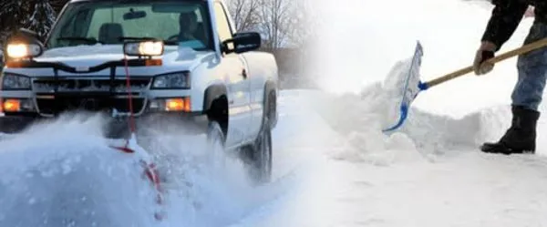 Michigan Lawn Services