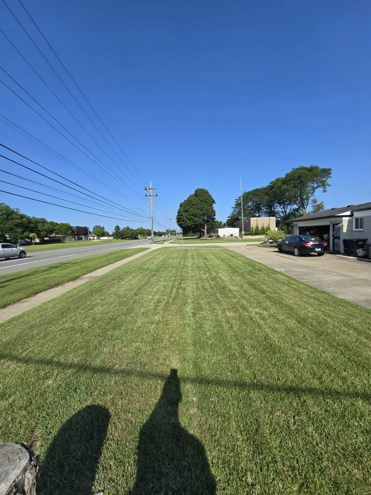 Expert yard maintenance for year-round maintenance in Shelby Charter Township, MI by Michigan Mow Masters