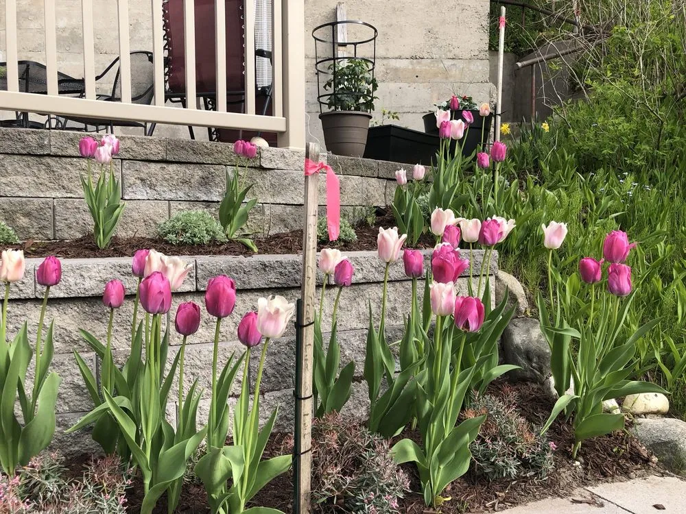 Expert landscape design in Harbor Springs, MI by Michigan Pete Landscaping