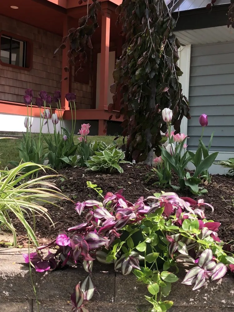 Professional yard maintenance experts serving Harbor Springs, MI - Michigan Pete Landscaping