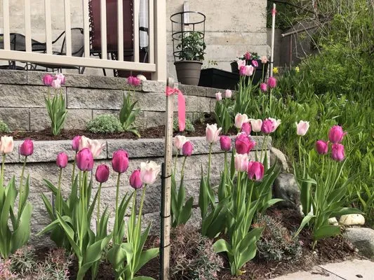 Michigan Pete Landscaping